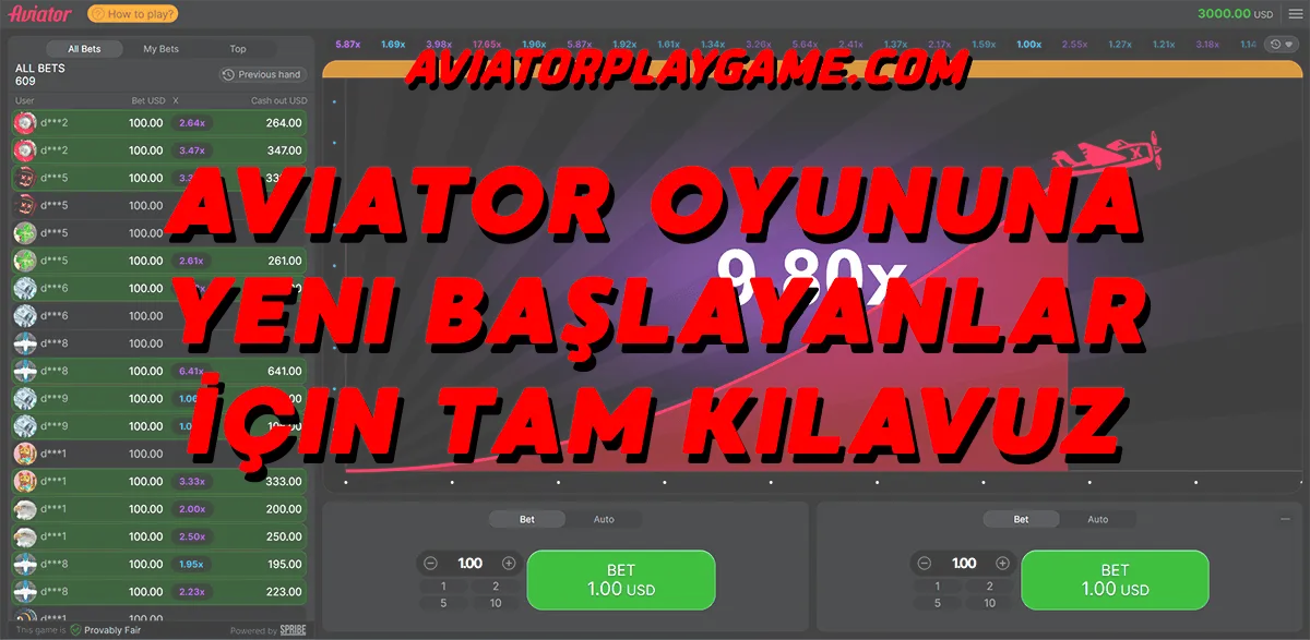 Aviator Oyununa Yeni Başlayanlar İçin Tam Kılavuz